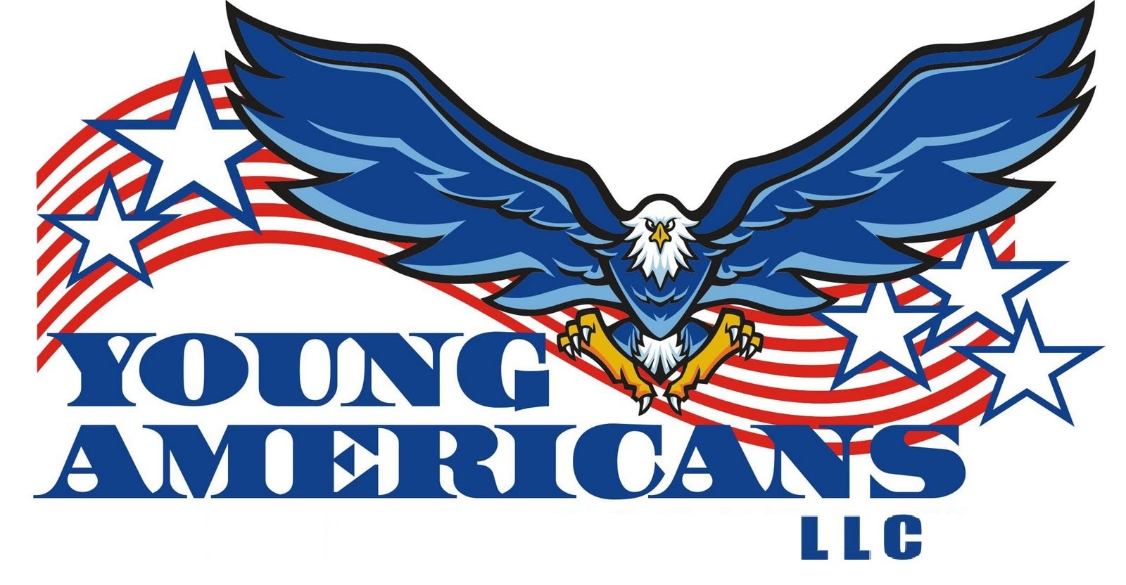 Young Americans LLC — professionally insured STEM education program